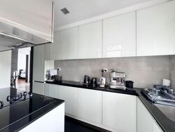 The Trumps (D14), Condominium #503735981